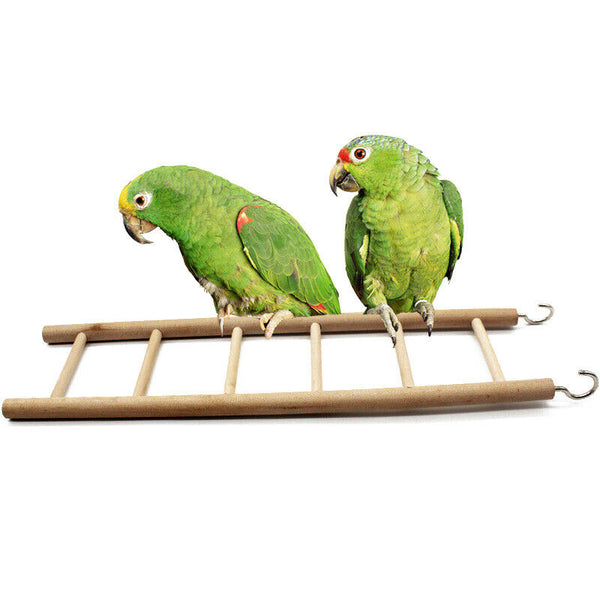Ladder wood, 1 rungs / 36 cm for parakeets, canary P5V2
