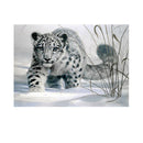 Snow Leopard 5D Diamond DIY Painting  Kit Home Decor Craft