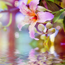 1X(Diamond Painting 5D Diy Cross Stitch Flower Floral Diamond Embroidery Ar