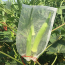 100 Fruit Protection Bags Fruit And Vegetable Grape Net Bag Multi-Function