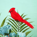 10pcs Simulated Red Parrot Artificial Bird with Clip for Wedding Home Decor