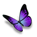 5D DIY Diamond Painting Purple Butterfly Cross Stitch Embroidery Rhinestone