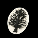 Gray Christmas tree Silicone Mold Chocolate Fondant Moulds Baking DIYBX