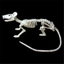 Skeleton Rat Plastic Animal Skeleton Bones for Horror Halloween Decor ME