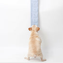 Dog Training Sniffing Mat Pet Puzzle Relieve Stress Toys Snuffle Pad (Blue)