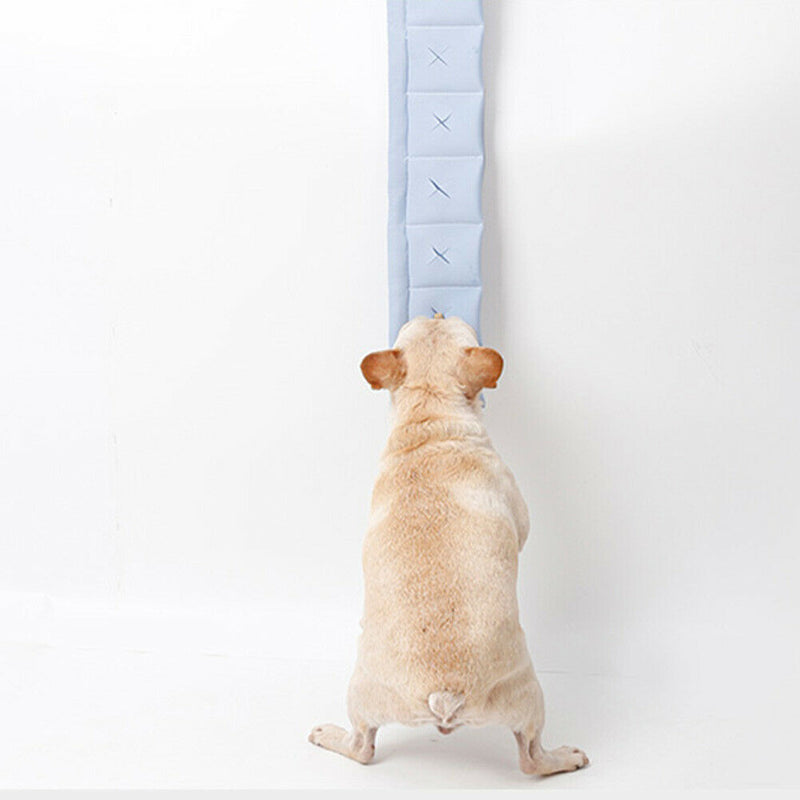 Dog Training Sniffing Mat Pet Puzzle Relieve Stress Toys Snuffle Pad (Blue)