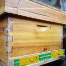 Beehive Plastic Entrance Reducer Gate Treated Anti-Escape and Mouse Mice Gu