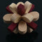 Wooden Double Color Plum Lock Lilac Locks Logic Puzzle Burr Puzzles Brain T Z2P5