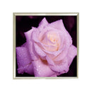 Rose 5D Diamond Painting DIY Embroidery Craft Cross Stitch Home Decor Gift