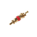 Car Motorcycle Truck ATV Replacement Tire Tire Brass