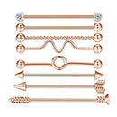 2 Sets 16pcs Industrial Piercing Barbell Ear Bar Earring 14G Lady Jewelry