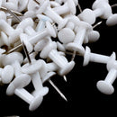 Plastic Head Push Pins Color White Pack of 100 J5I2