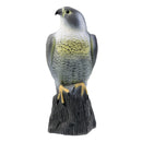 Lifelike Eagle Decoys Hawk Scarecrow with Bright Eyes - Home Garden Decoration