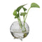 6pcs Glass Ball Shaped Flower Plant Tabletop Vases   Bowl Container Decor