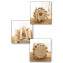 1 Set Glass Vase Tube Shape Clear Flower Bottle With Wooden Shelf Wood Stan X3X9