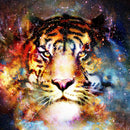 5D DIY Full Round Drill Diamond Painting Novelty Tiger Cross Stitch (B1103) A