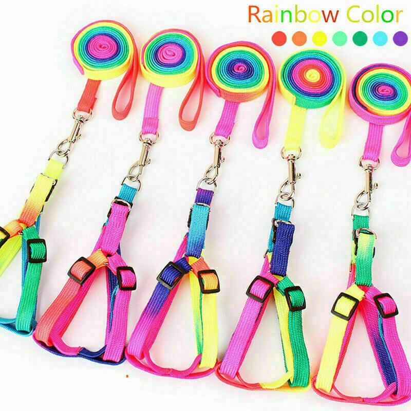 Small Pet Dog Puppy Cat Kitten Harness for Walking Lead Leash Collar Adju D C0V3