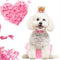 Tutu Skirt Dog Birthday Set Pet Decoration Crown Hat Party Supplies Headdress