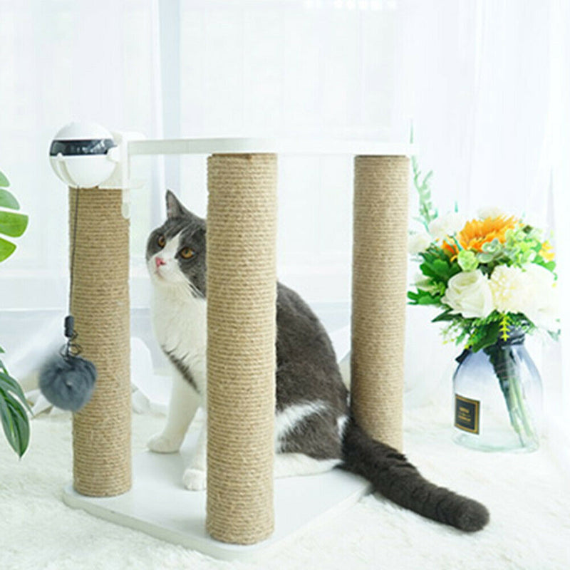Electric Automatic Lifting Ball Cat Teaser Pet Puzzle Interactive Toys