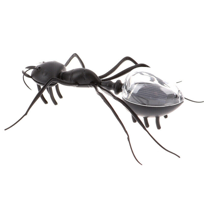 Solar Ant Toys Play Learn Educational Solar Novelty Toys For Children Gif@