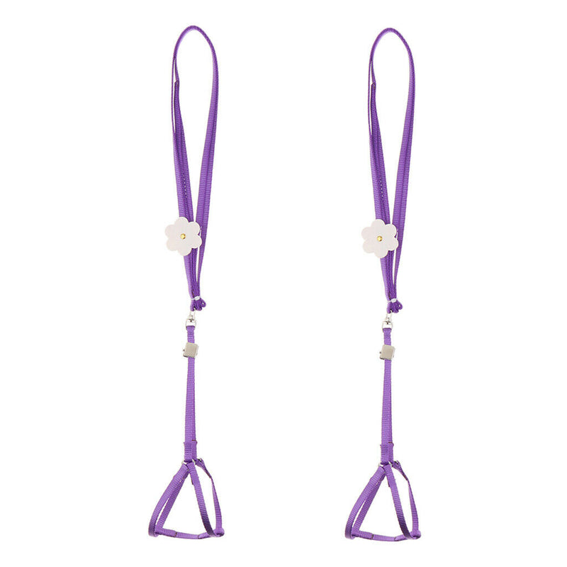 2 Pcs Birds Fly Adjustable Suit Durable Rope Light Leash Safety Convenient to