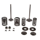 Upgraded High RPM Engine Valve Springs with Stem Seals 250CC for Scooter