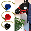 Copper Equestrian Horse Lead Rope Webbing Pony Rein Halter Grip Chain Red