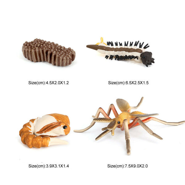 Realistic Life Cycle of Mosquito 4 Part Insects Hatchery Growth Figures Toys