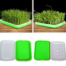 Seed Sprouter Tray Double-layer Soilless Culture Beans Hydroponic Nursery Tray
