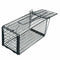 Rat Catcher Spring Cage Trap Humane Live Mouse Rodent Bait Pest Control Out