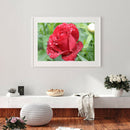 5D DIY Diamond Painting Flower Full Round Drill Canvas Wall Picture (A914)