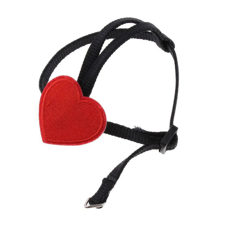 3x  Bird Harness And Leash for Birds Macaw Cockatoos Amazon Parrot Budgies