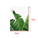 Tropical Palm Leaf Print Banana Leafs Wall Art Painting Picture on Canvas S