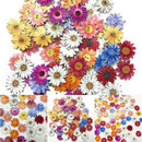 50pcs Wooden Buttons Sewing 2-holes Scrapbooking Button Crafts Flower Shape DIY