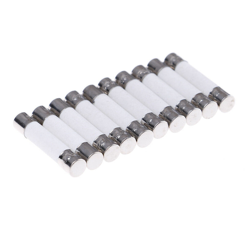 10 Pcs Microwave Ceramic Fuse Electric 20A 250V Home Supplies DIY 6x30mm.ftL Ew