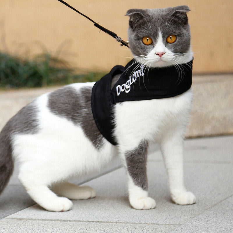 Dog Cat Universal Harness with Leash Set Escape Proof Cat Harnesses black