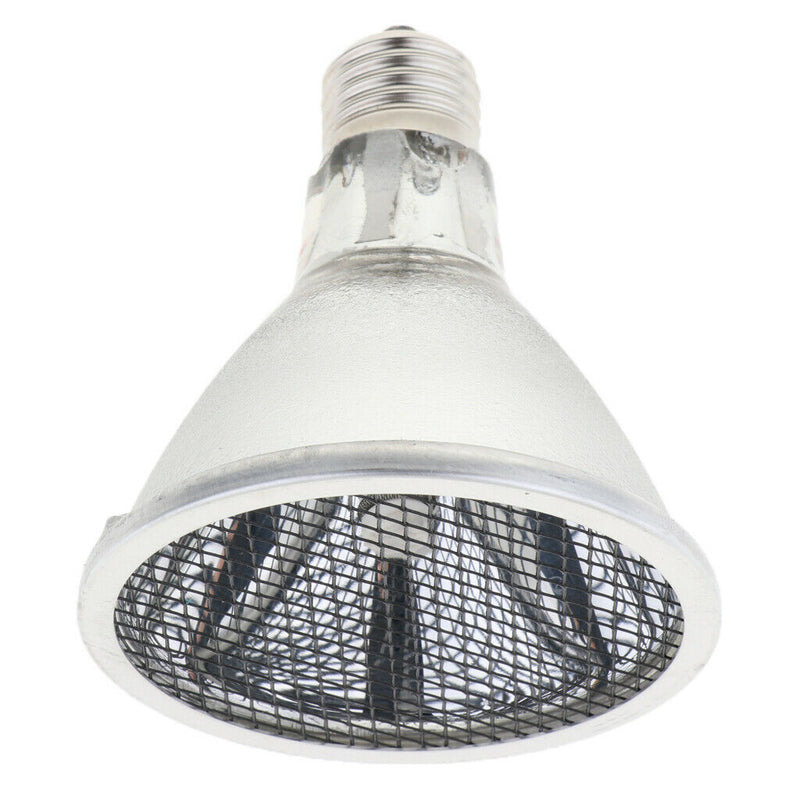 Reptile Amphibian Turtle Lizard Chameleon Heating Lamp Ceramic Heater Light 100W