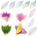 100Pcs Natural Dried Magnolia Skeleton Leaves Bookmarks Decoration DIY HOT