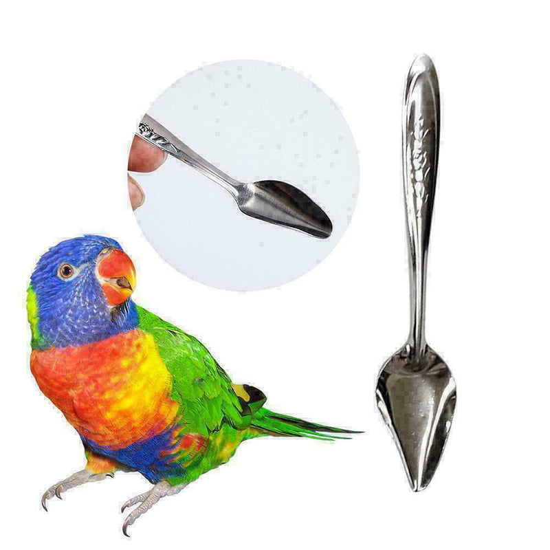 1pcs Stainless Steel Pet .Feeding Tool Water Milk Spoon For Bird Parrot Sup R1F2