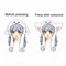 Cute Rabbit Hat Ear Will Move When You Hold The Leg Funny Plush Hat  rsJCAUB Kw