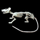 Nice Skeleton Rat PP+PVC Animal Skeleton Bones for Horror Halloween Decorat