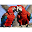 5D DIY Full Drill Diamond Painting Bird Cross Stitch Embroidery Rhinestones