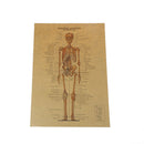 skeletal anatomy poster bar home decor retro kraft paper painting wall st Hj