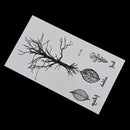 Leaf Tree Temporary Tattoos Body Arm Leg Waterproof Flash Tattoo Stickers JR