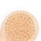 Natural Wood Bristle Body Brush Long Handle Bath Shower Spa Scrubber 3C