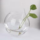 5xFlower Plant Hanging Clear Glass Vase Bottle Pot Wedding Garden Ball Decor