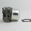 Carburetor Carb for Briggs & Stratton 799868 498254 497347 497314 49817 FNC