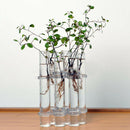 6 Glass Tubes Shape Hanging Hydroponic Flower Plant Vase Terrarium Containe K8R7