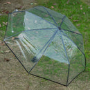 Transparent Umbrella Automatic Umbrella Rain Women Men Sun Rain Auto UmbrellD5Z1