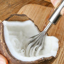 Coconut Shaver Stainless Steel Kitchen Fruit Tool Fish Skin Scale Scraper P Jf